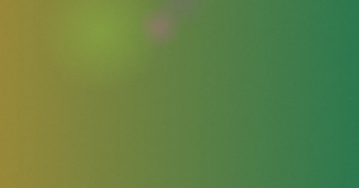 欧美黑吊怎么用？实穿手记